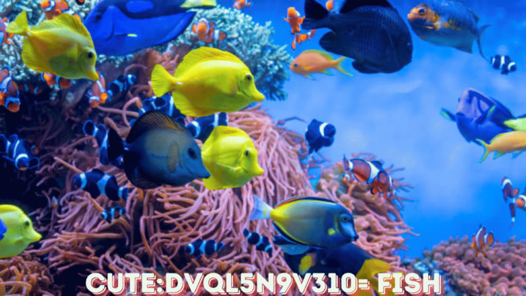 cute:dvql5n9v310= fish